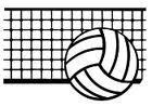VB