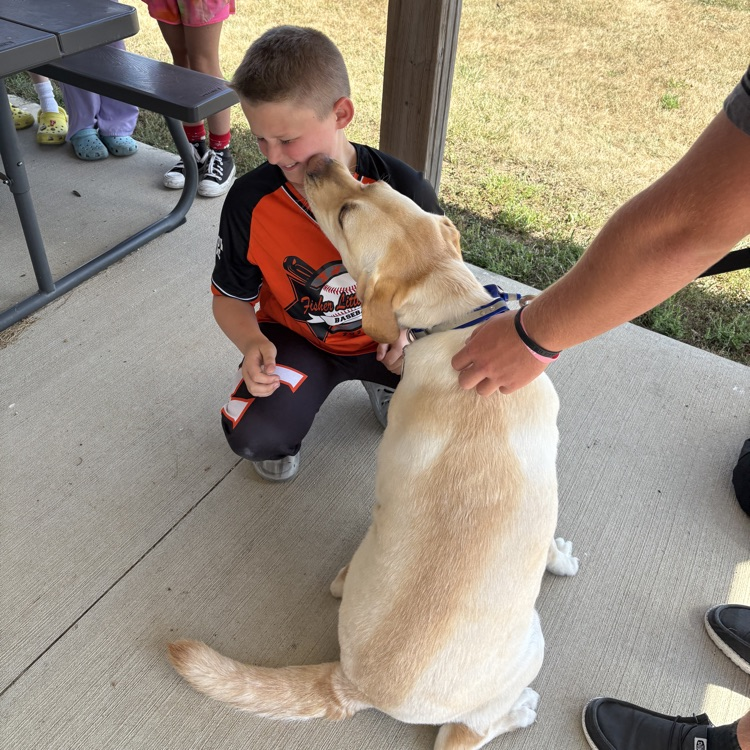 service dog