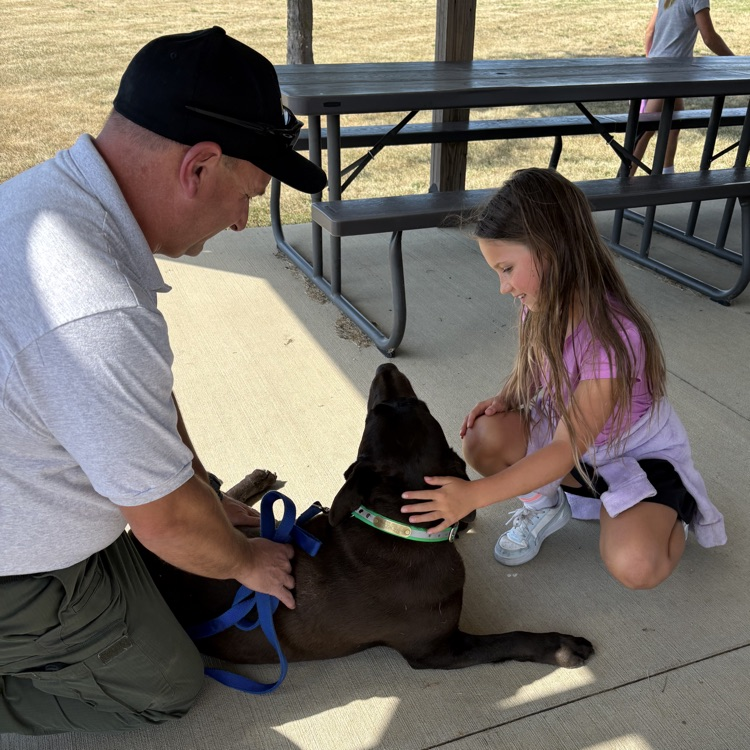 service dog
