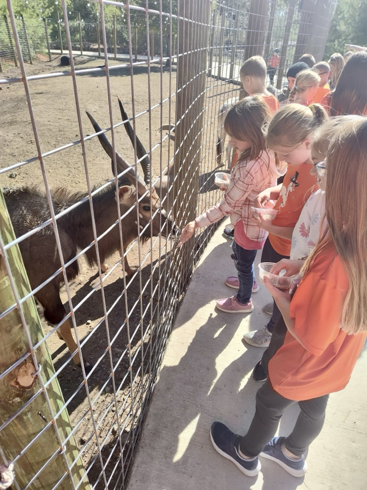 2nd grade field trip!