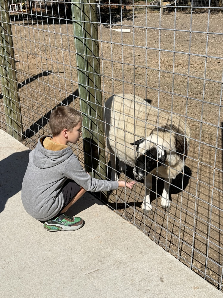 2nd grade field trip!