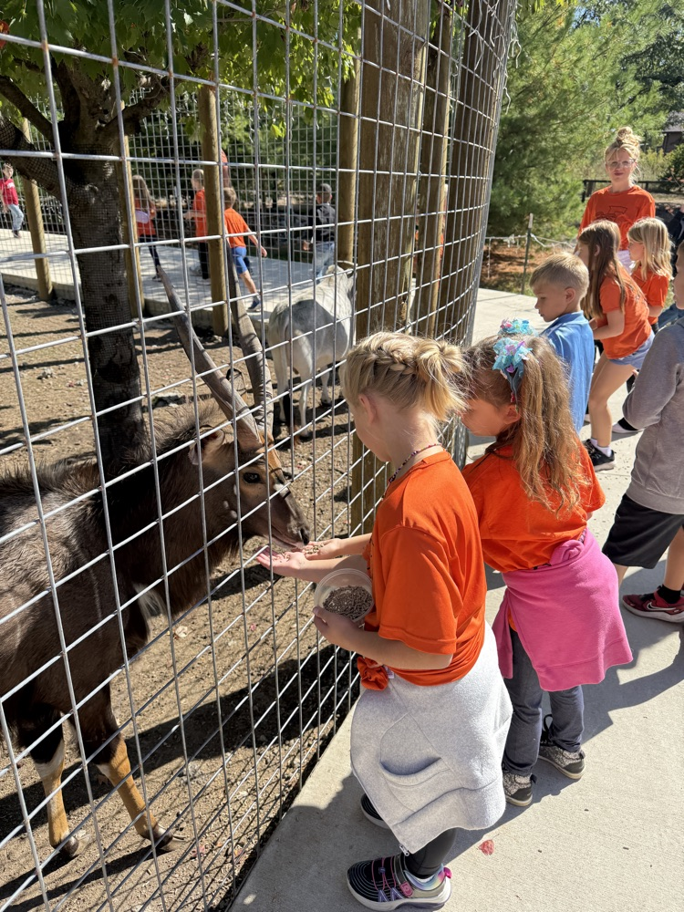2nd grade field trip!