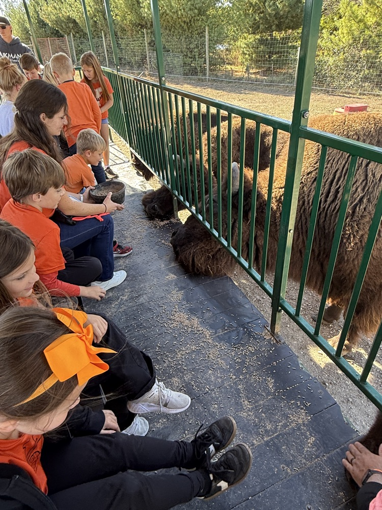 2nd grade field trip!