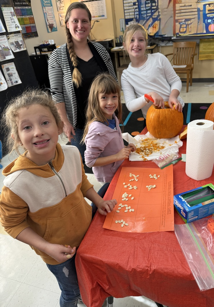 pumpkin palooza!