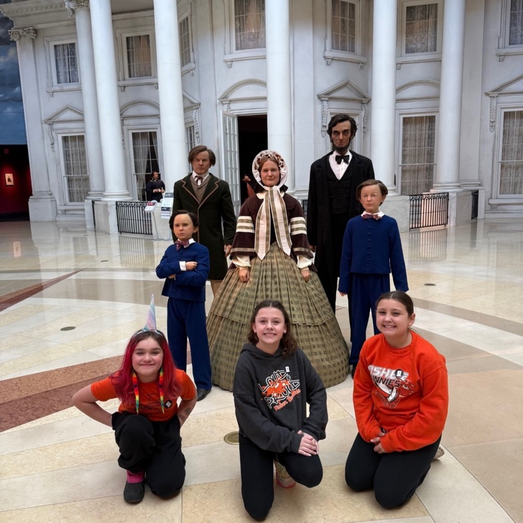 Springfield Adventure  