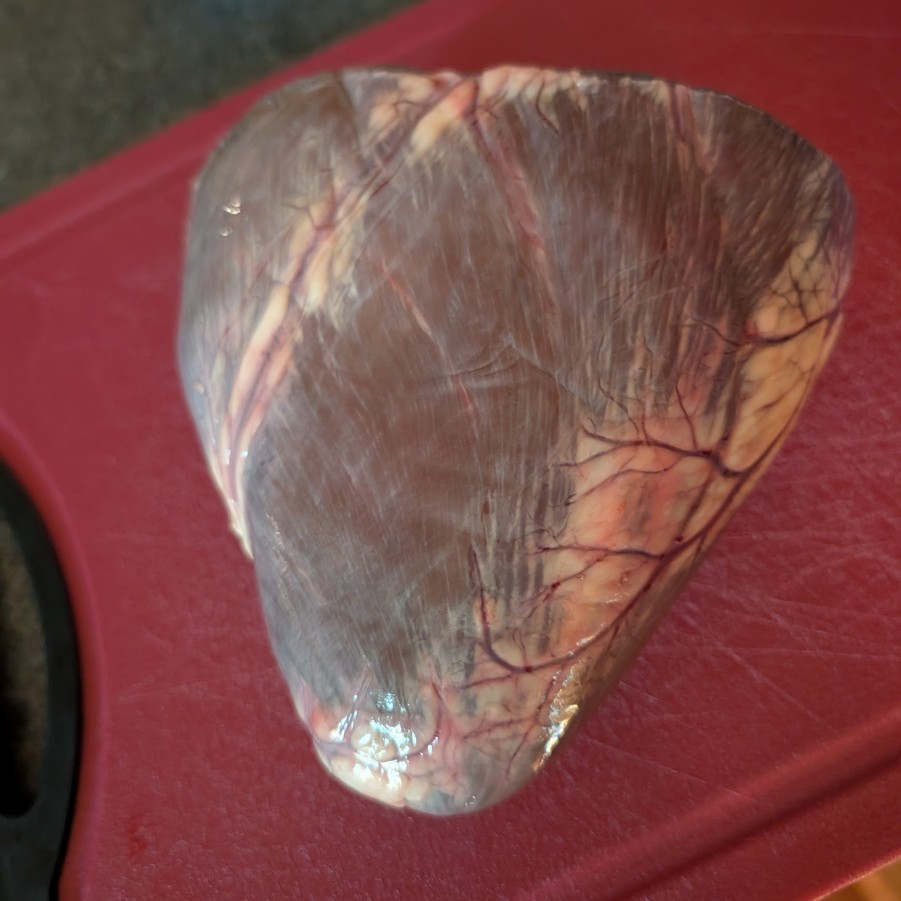 7th graders visited bison at Reclaim Ranch, explored the Sangamon River Forest Preserve, and ate bison heart as past of our US History Westward Expansion unit.