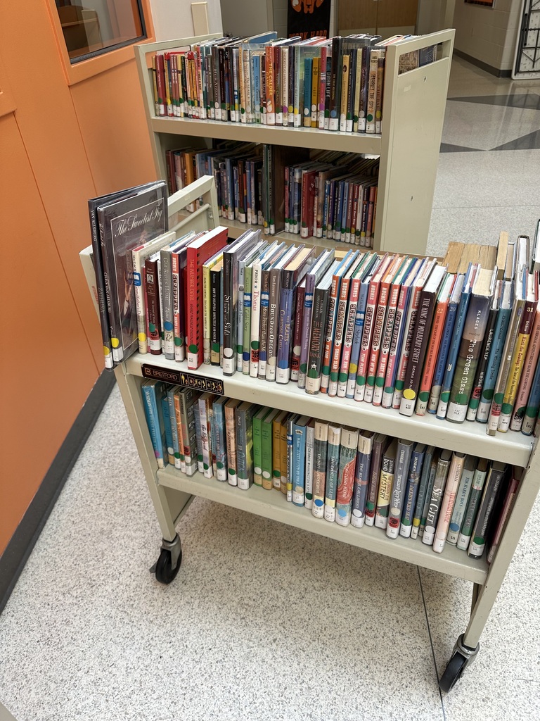 summer library