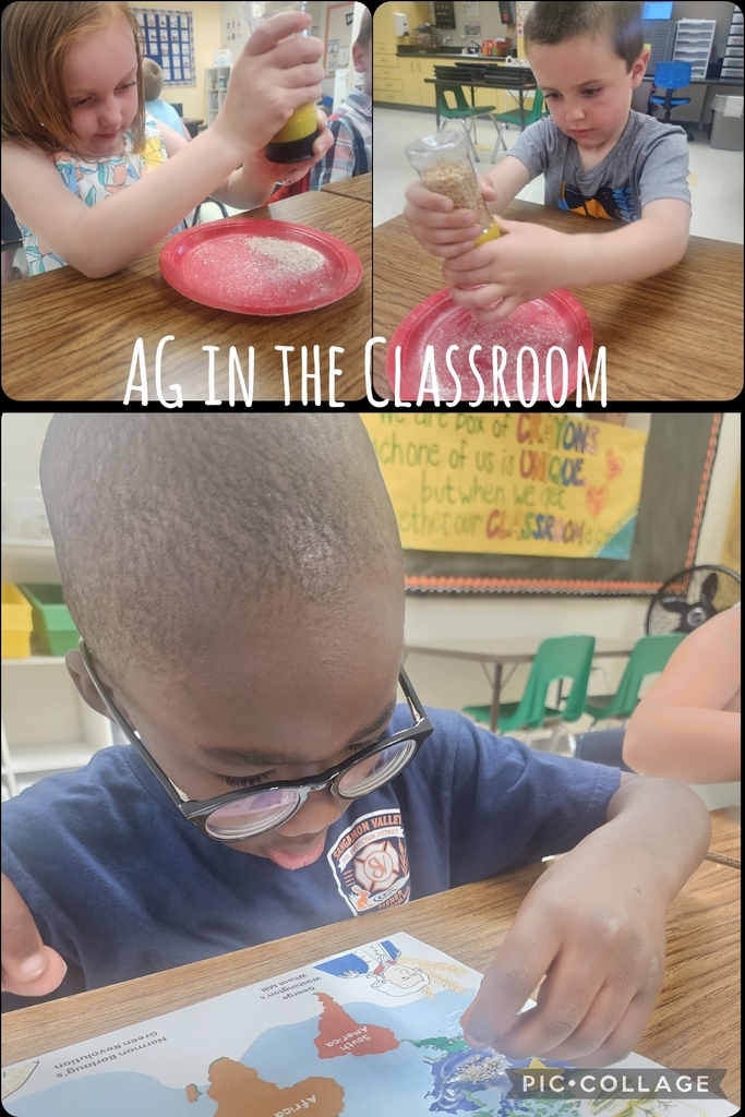 Kindergarten 
