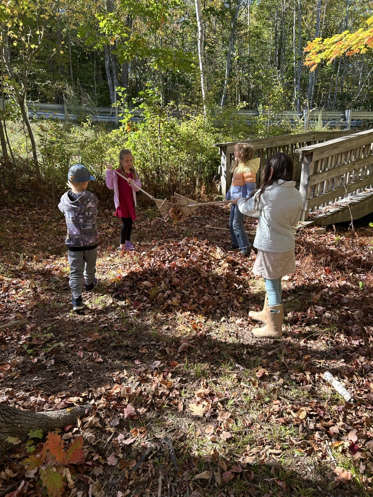 kids raking leaves in a forest