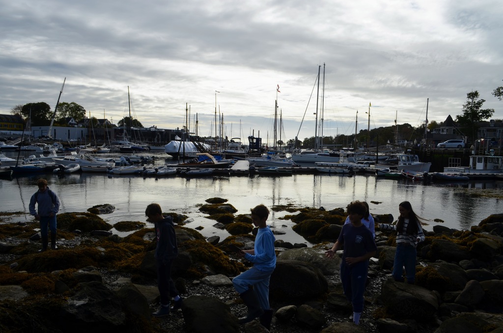 students at the harbor