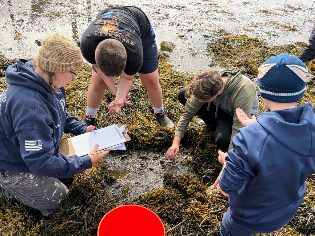 students looking for crabs