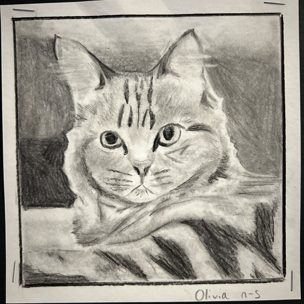 cat drawing