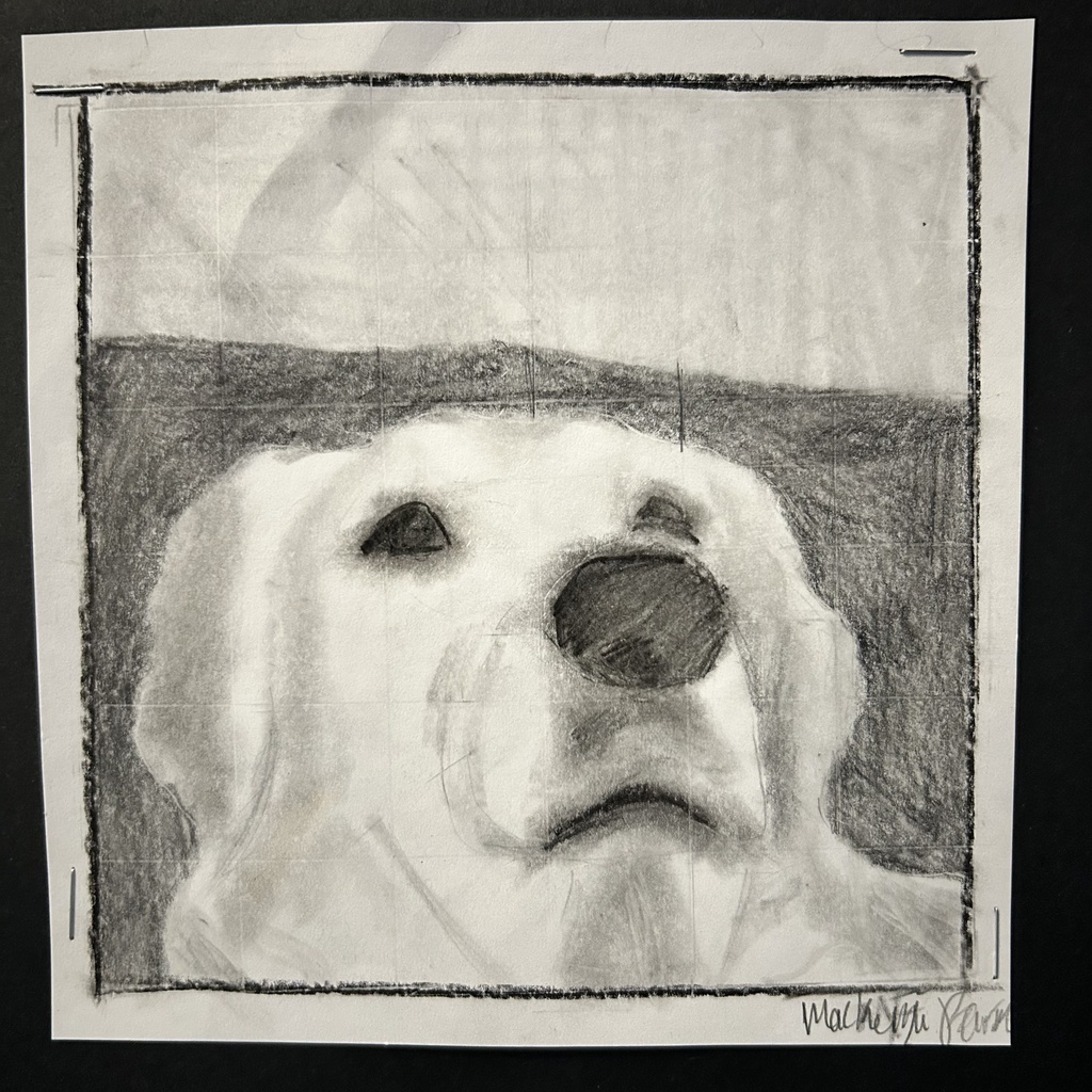 dog drawing