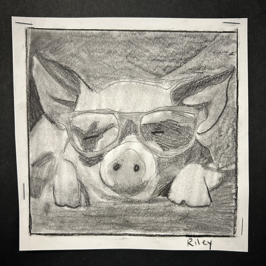 pig drawing