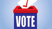 vote