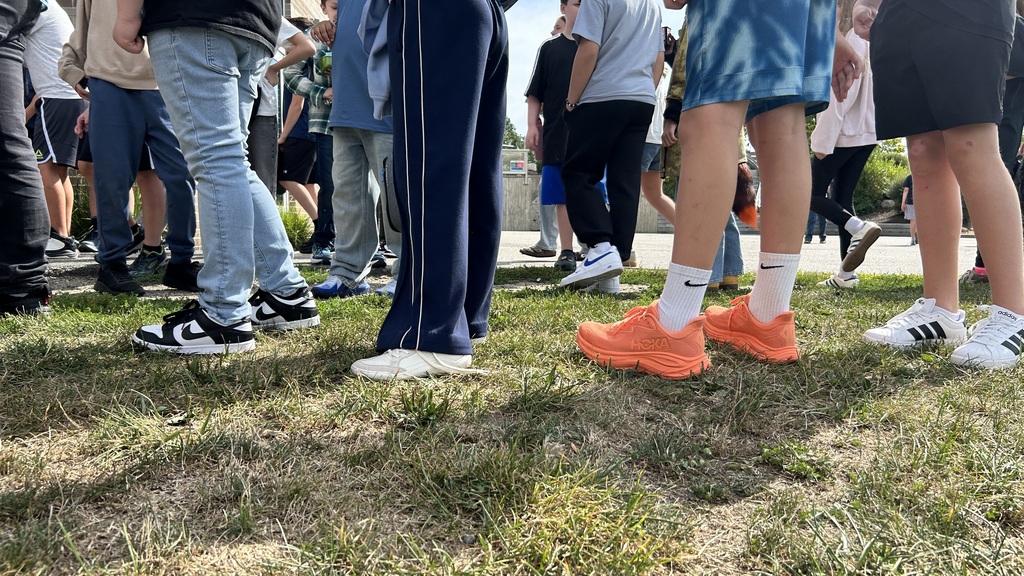 shoes