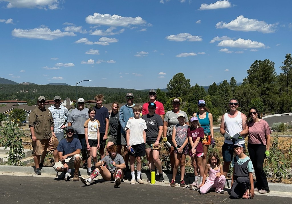 Tree planing volunteers