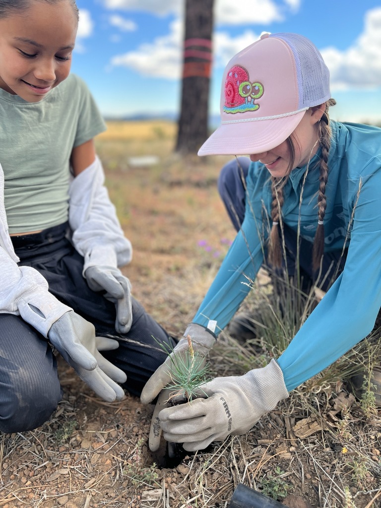planting