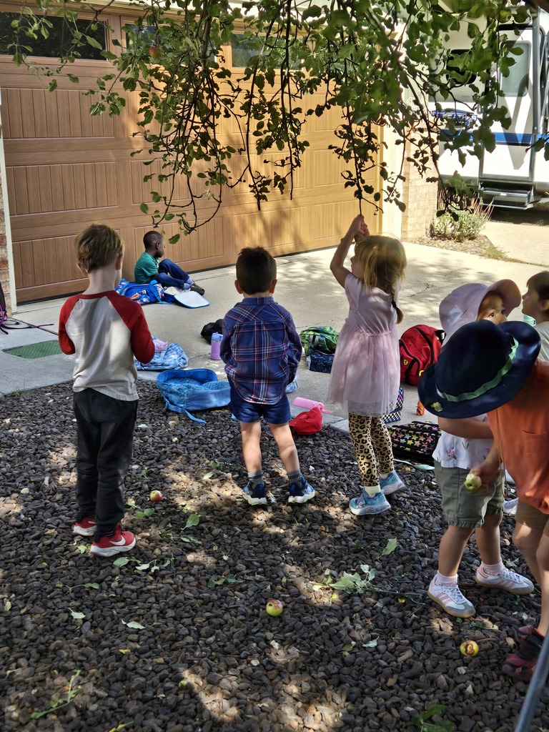 apple picking 2