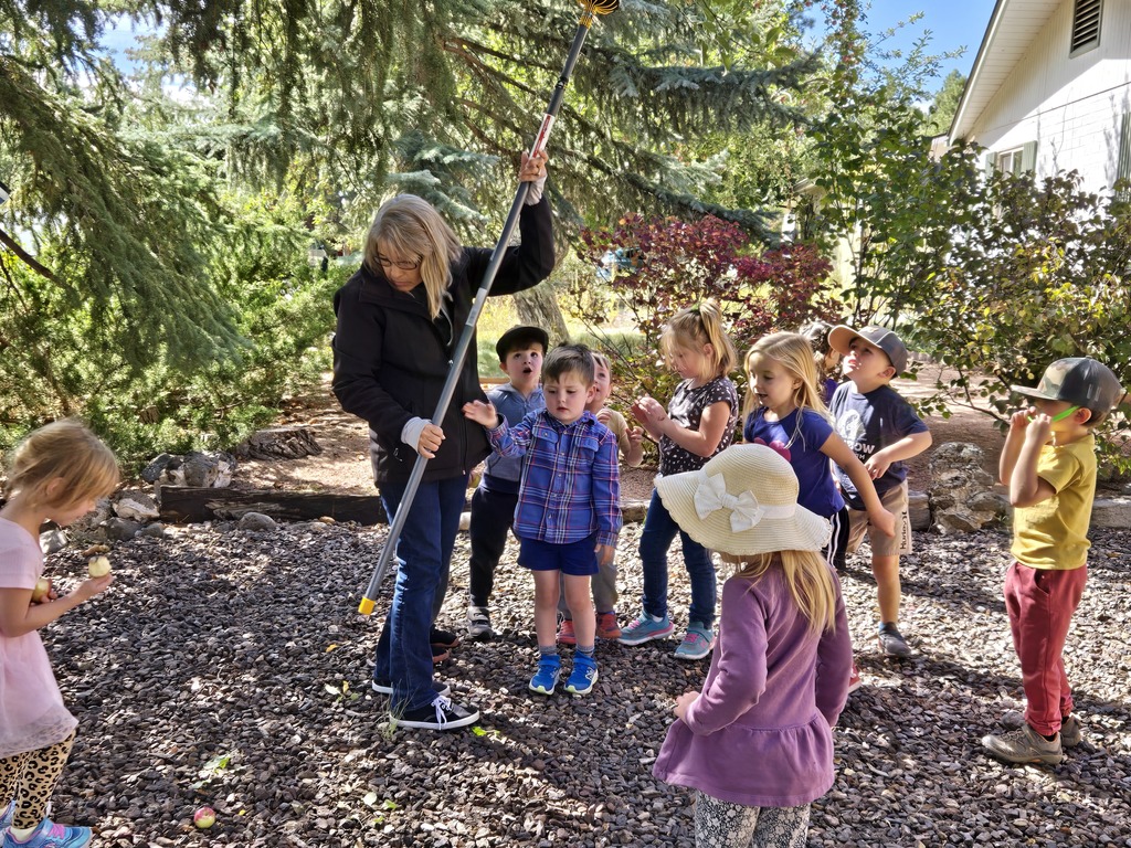 Apple picking