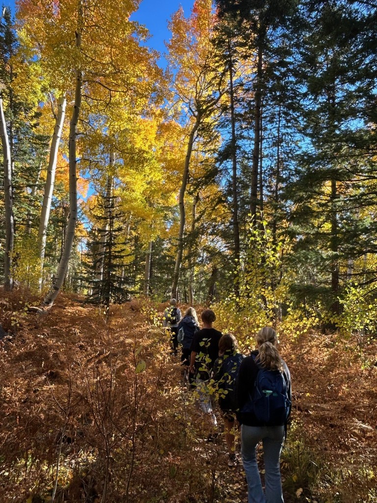 hiking through aspens