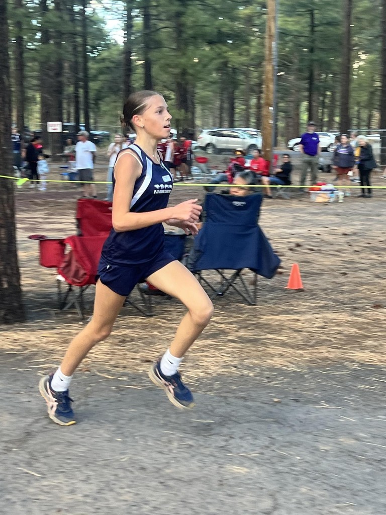 Cross Country in Parks 