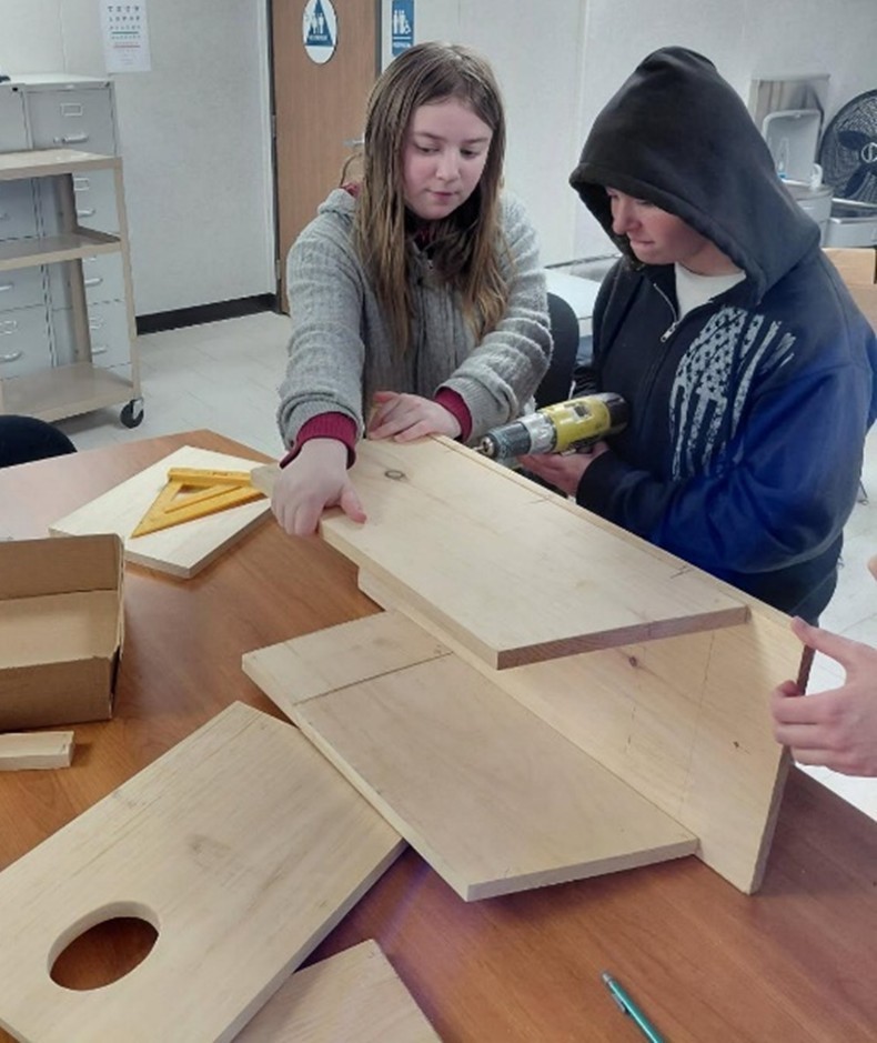 Building Kestrel Boxes 