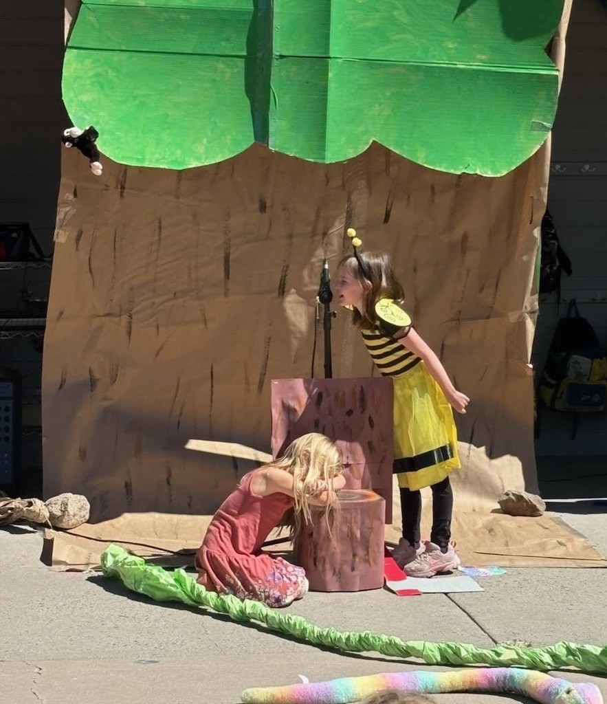 kapoc tree
