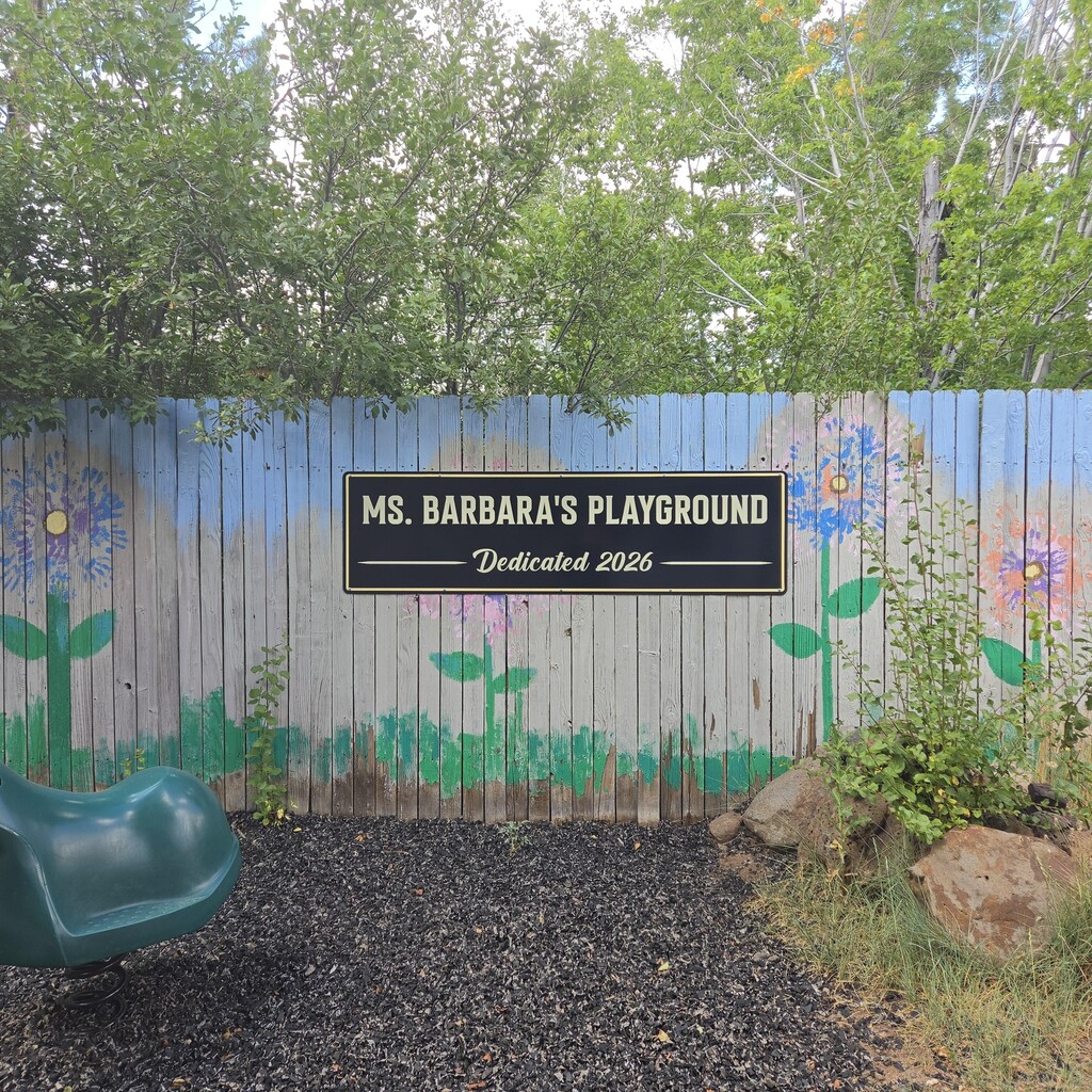 Ms. Barbara's Playground 2