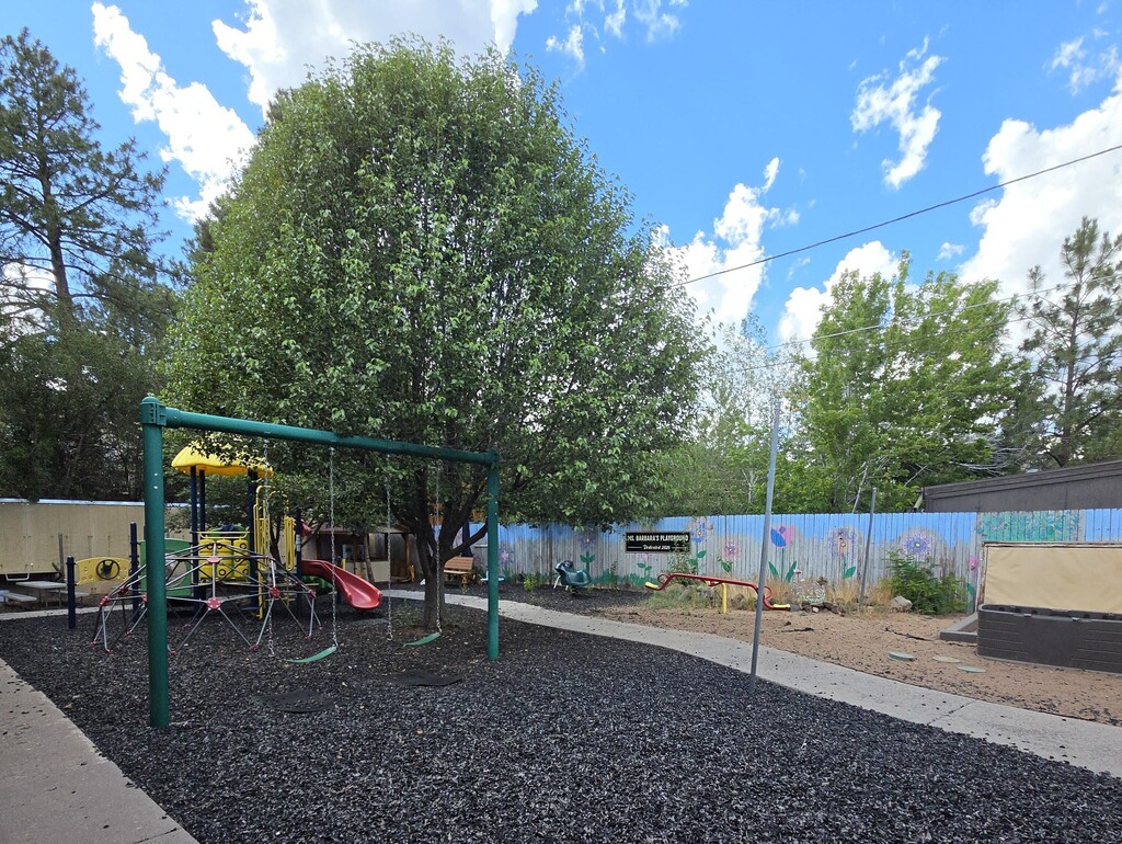 Ms. Barbara's Playground 