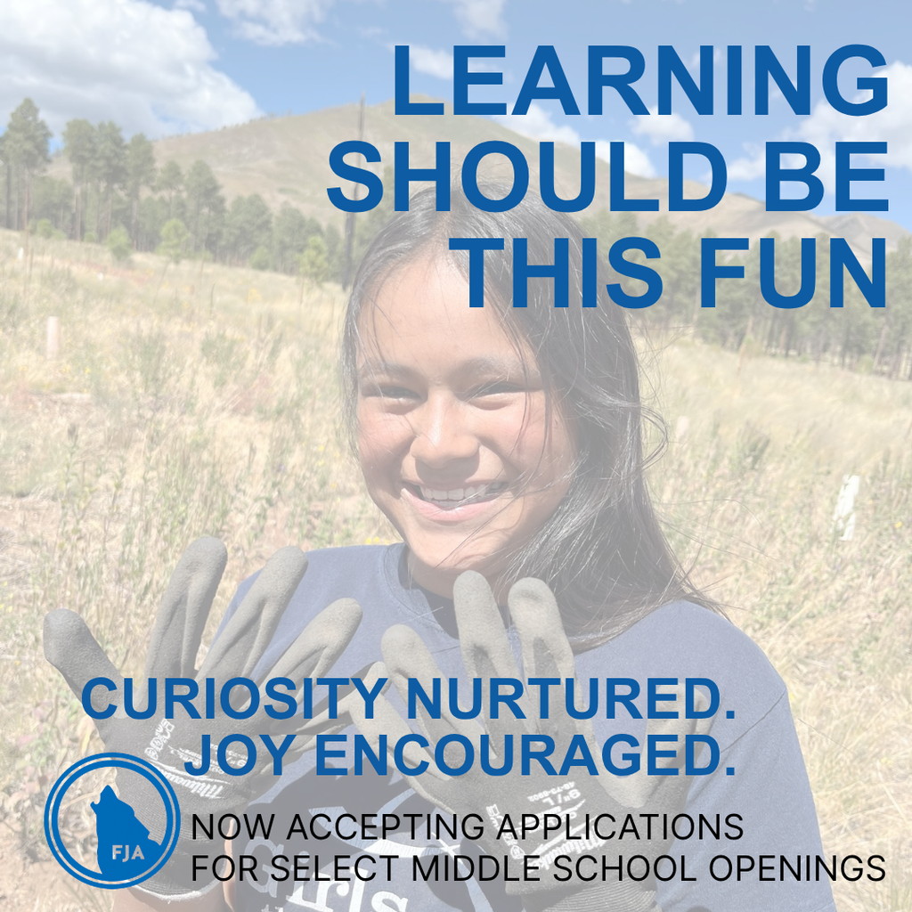 Learning Should Be This Fun