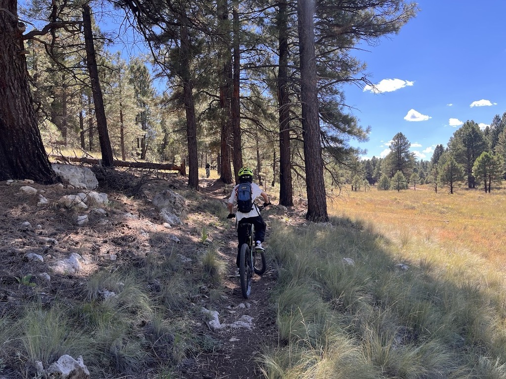 Loop Trail