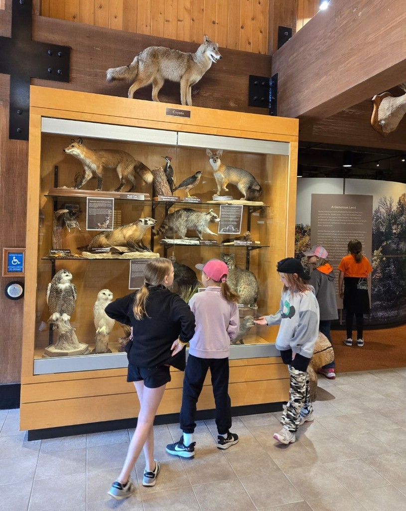 visitors