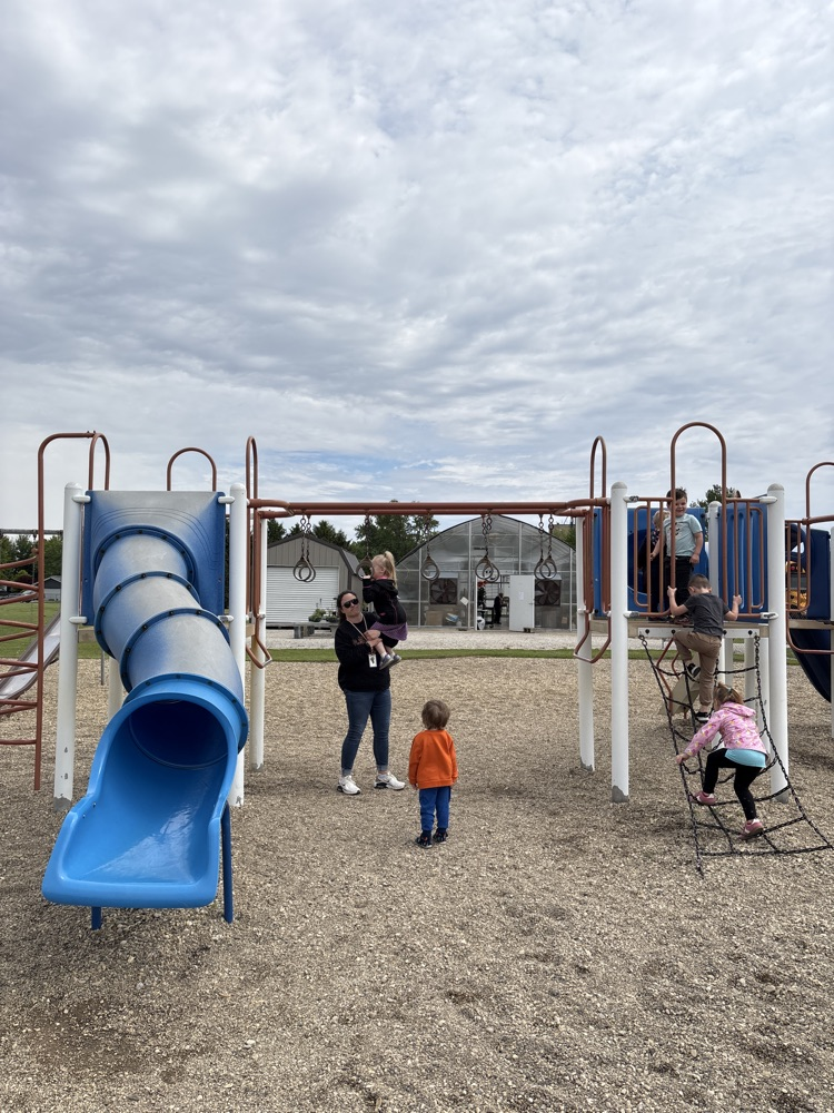 monkey bars
