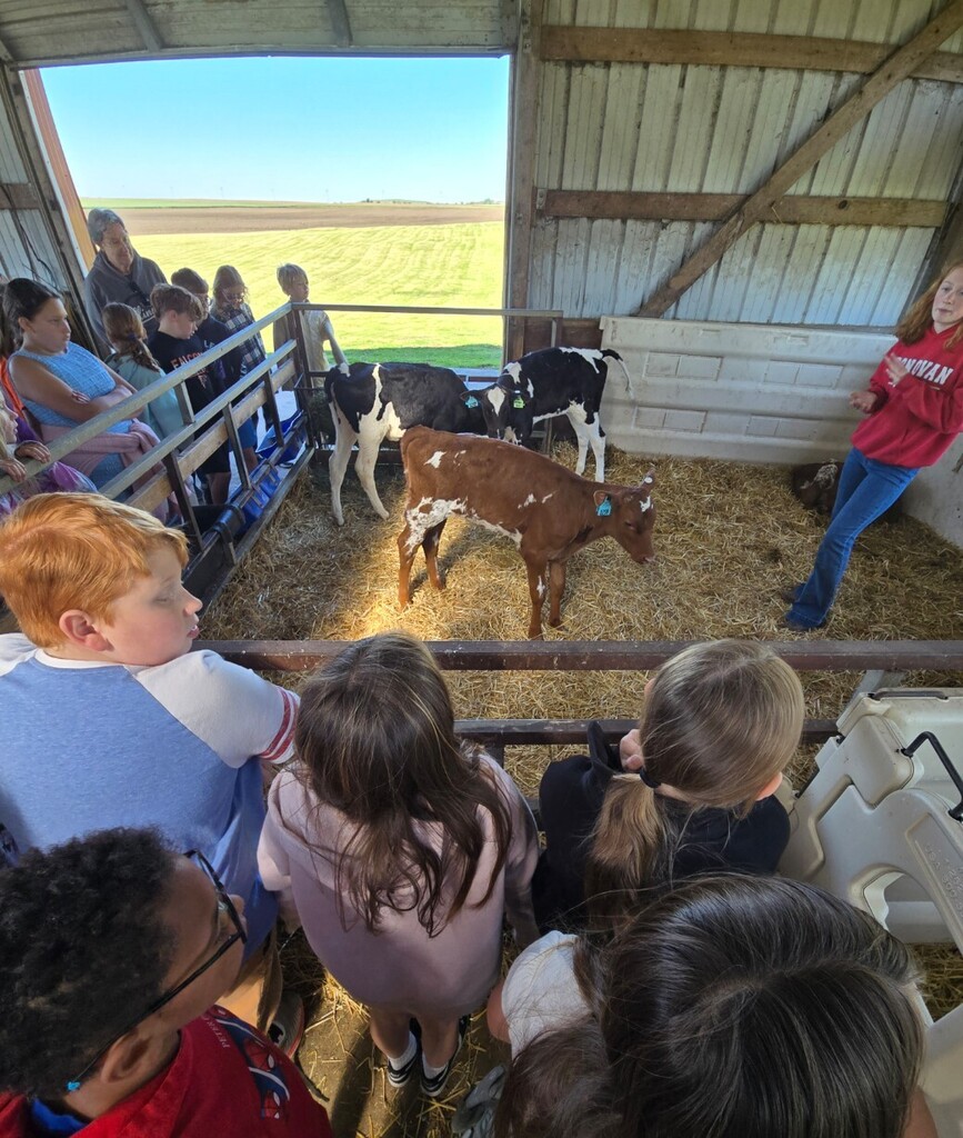 calf