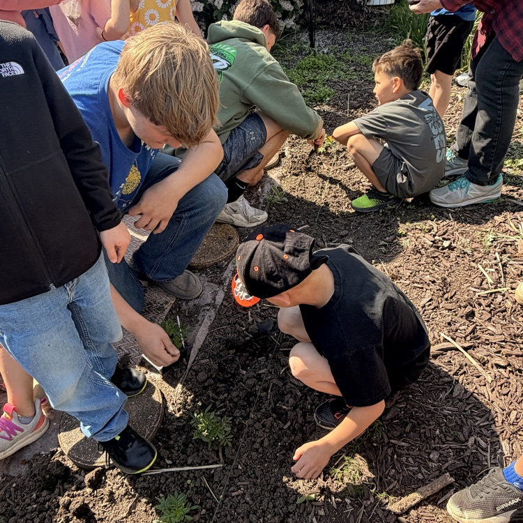 school garden