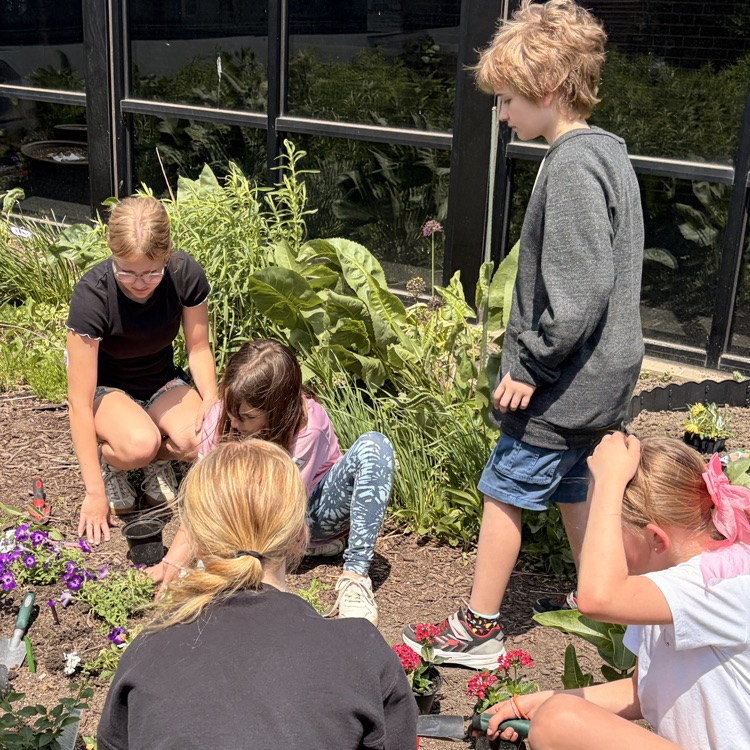 school garden