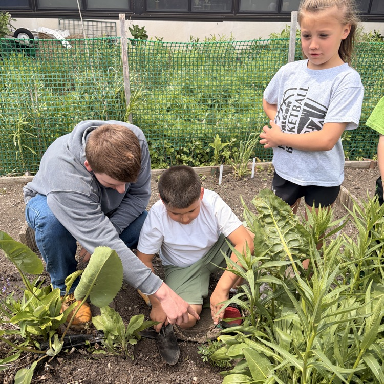 school garden