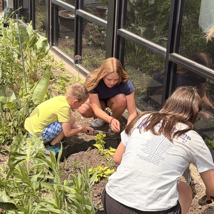 school garden