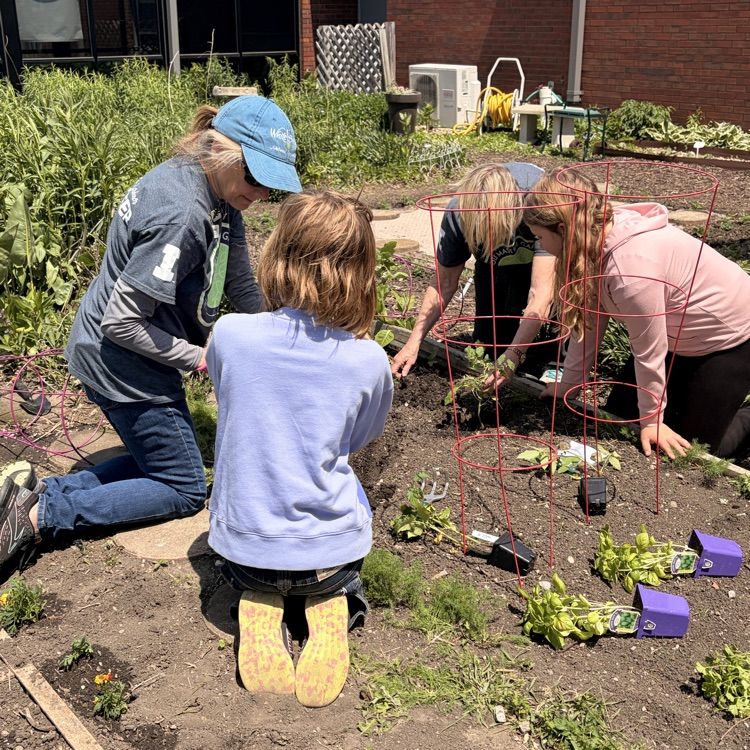 school garden