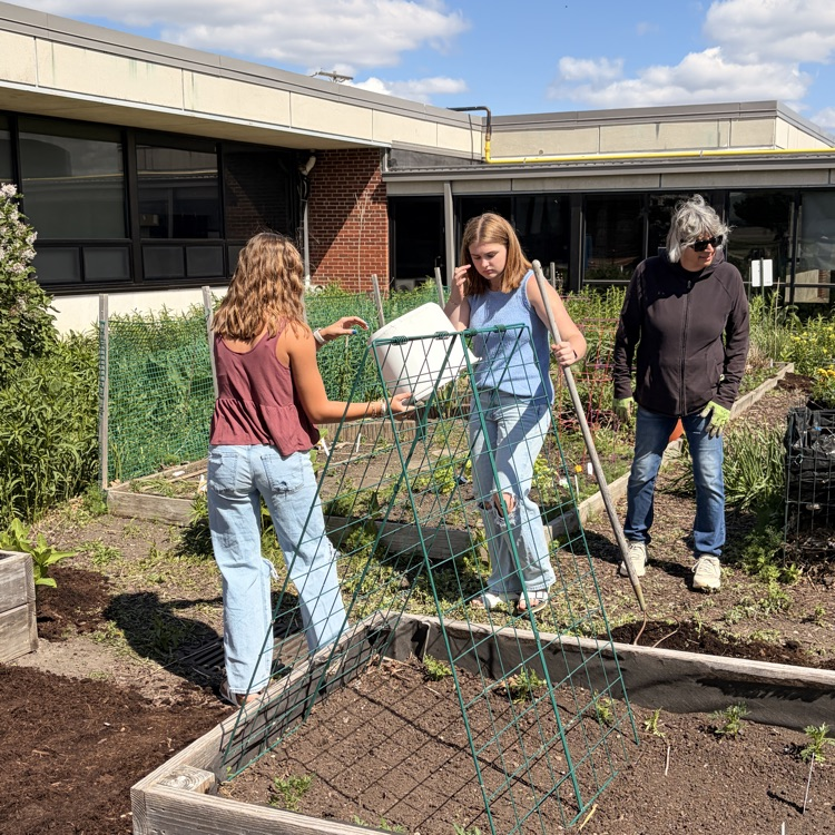 school garden