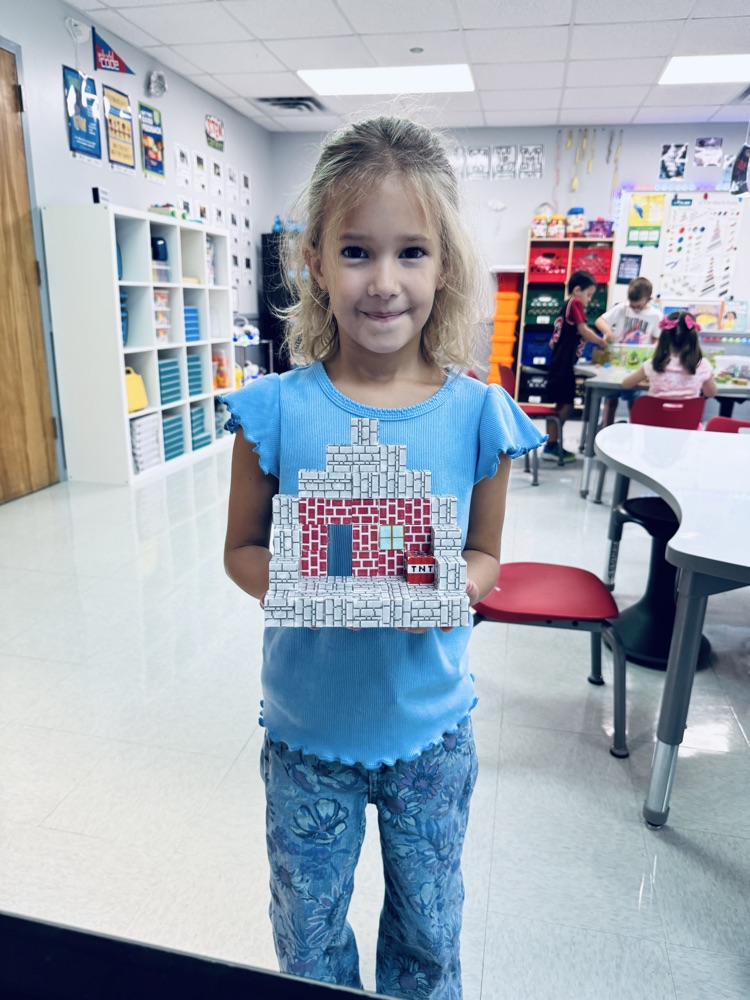 1st grade Stem 