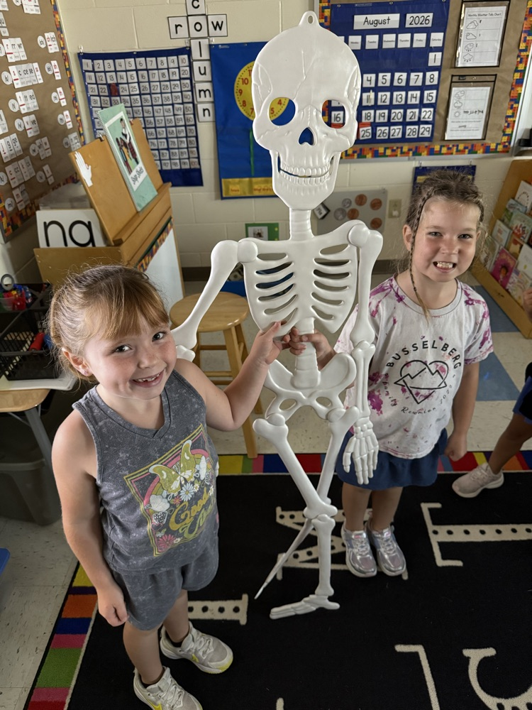 1st grade