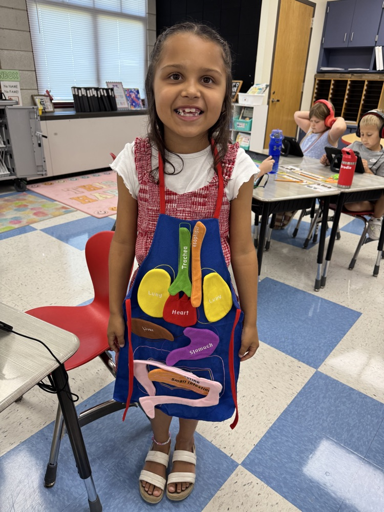 1st grade