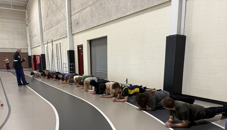 planks