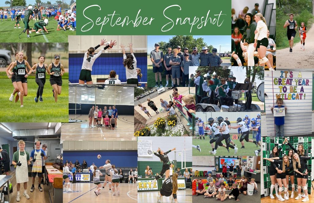 Newsletter