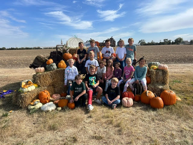 pumpkin patch