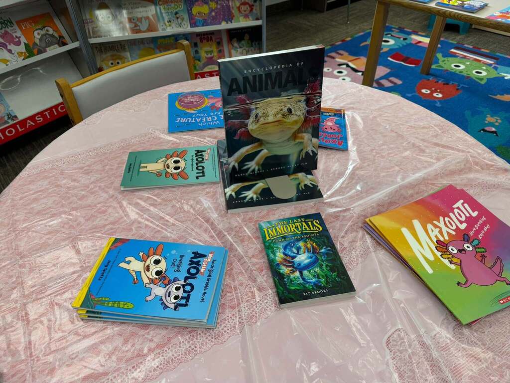Book fair