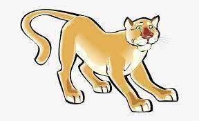 Copper Hill Cougar!