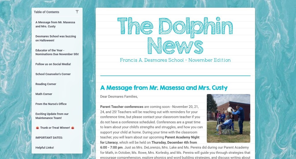 The Dolphin News